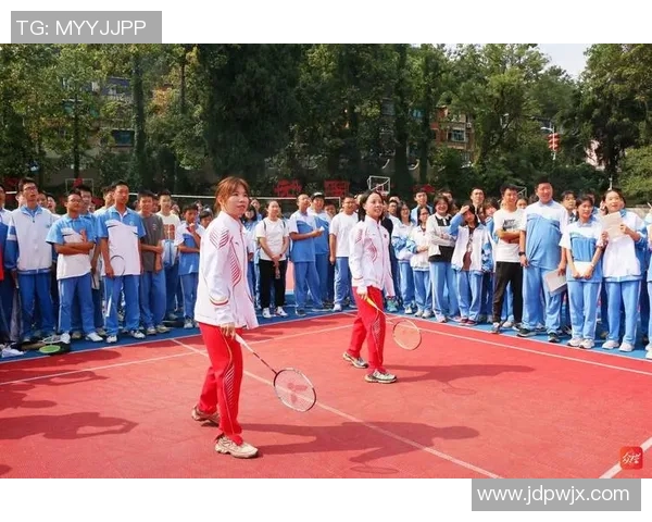 张静独家分享排球心得与技巧助你提升球技的全方位指南