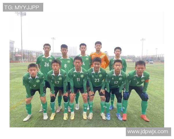 深入分析西安飞盘队的运营策略与发展模式 深入分析西安飞盘队的运营策略与发展模式