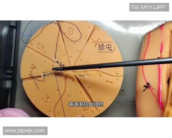 上海篮球队中路突破战术解析与实战应用深度剖析 上海篮球队中路突破战术解析与实战应用深度剖析