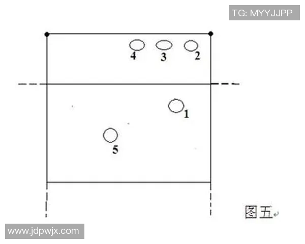 成都排球队防反体系解析与战术创新探讨